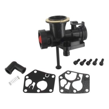 Karbiuratorius Briggs & stratton  vejapjovei