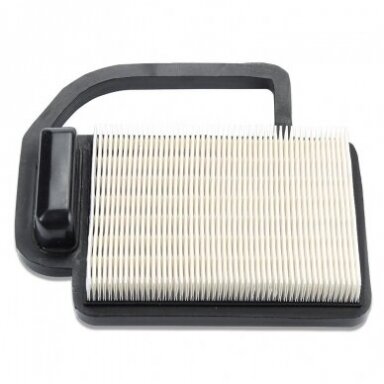Oro filtras  Kohler 15-17Ag,  215/170x185x31 mm