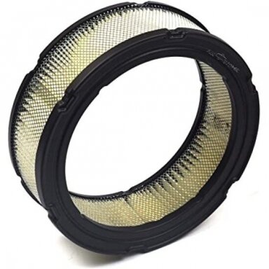Oro filtras BS VANGUARD 2 cilindrų 178x143x56 mm
