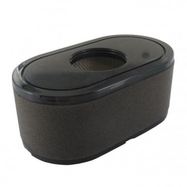 Oro filtras Loncin 160x90x67 mm