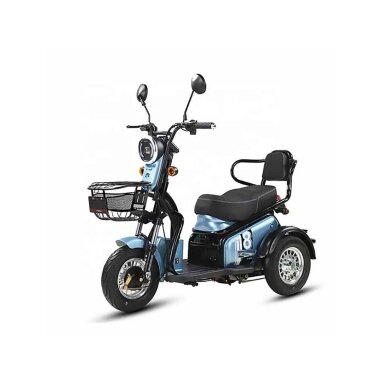 Triratis Lidia, 850W, 20Ah Švino Rūgšties Baterija Triratis Lidia, 850W, 20Ah Švino Rūgšties Baterija