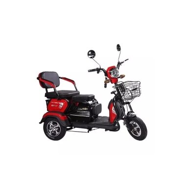 Triratis M19, 850W, 20Ah Ličio Jonų Baterija Triratis M19, 850W, 20Ah Ličio Jonų Baterija